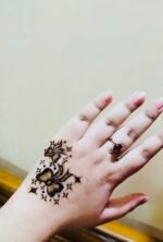 Mehedi (18)